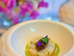 -蝶舍·MAISON PAPILLON