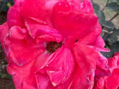 -人民公园(罗湖区)