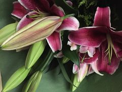 -双季花艺园艺市场(浦东店)