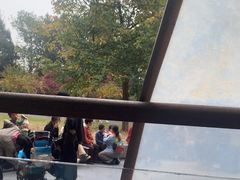 -鸡鸣汤包(红山动物园店)