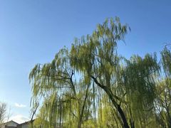 -玲珑塔公园
