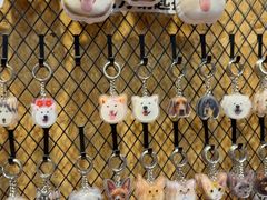 -和它·交个朋友·狗咖猫咖(爱琴海店)