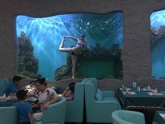 -瑞德姆美人鱼海底演艺主题餐厅(亚龙湾店)