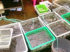 -先锋海鲜市场