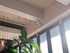 -the rug 飞毯 (朝阳公园店)