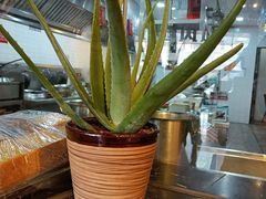 -避风塘(金山万达店)