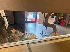 -桃夭日式料理(国信店)