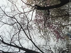 -睦南公园
