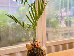 -绿小院(荔湾店)