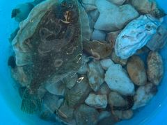 -张氏宽窄巷成都名小吃(华发新天地店)