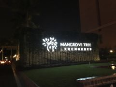 -三亚湾红树林度假世界(木棉酒店)