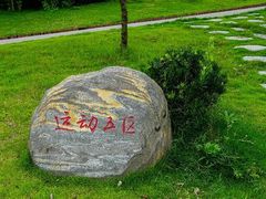-东岳体育公园