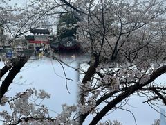 -鸡鸣寺