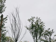 -信号山公园
