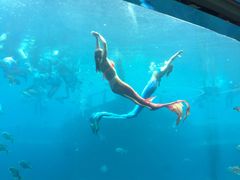 -瑞德姆美人鱼海底演艺主题餐厅(亚龙湾店)