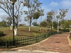 -九龙湖公园