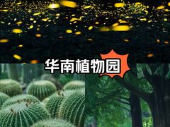 -中国科学院华南植物园