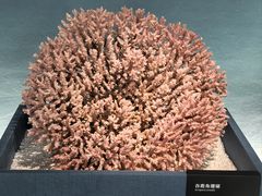 -中国湿地博物馆