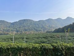 -中国茶叶博物馆(双峰馆区)