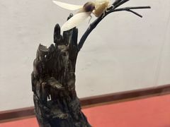 -衢州市博物馆