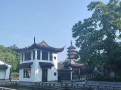 -红梅公园