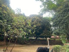 -深圳野生动物园