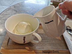 -哈根达斯(西安高新店)