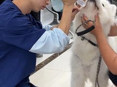 -派美特宠物医院·核磁CT·骨科肿瘤·疑难转诊(沈农禾丰店)