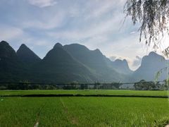 -村上春树