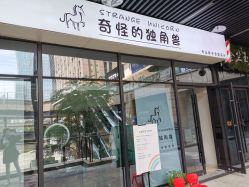 -奇怪的独角兽亲子理发沙龙
