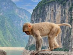 -白帝城·瞿塘峡景区