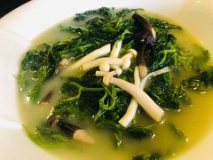 -陶缘一号·四季缘·老字号顺德菜·户外婚礼家宴(西滘店)