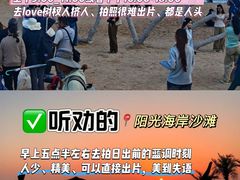 -日照海滨国家森林公园