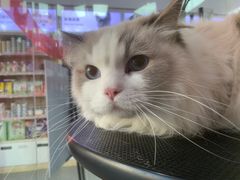 -宠物家(大兴旧宫店)