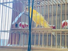 -Rabbit Cafe私房西餐甜点咖啡(栖霞路店)