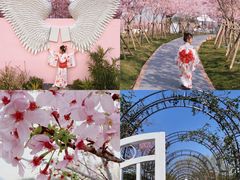 -福建鲤鱼洲酒店