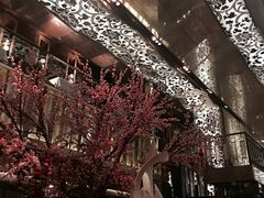 -金轩中餐厅 Jin Xuan(浦东丽思卡尔顿酒店)