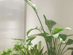 -喜茶(佛山岭南站店)