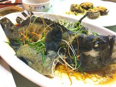清蒸老虎斑-范饭椰林川湘味海鲜·椰子鸡(三亚湾椰梦长廊店)