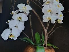 -湖滨客舍·湖北菜