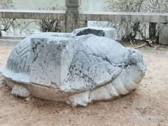 -汇龙潭