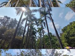 -中国科学院华南植物园