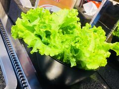 -猪的故事·韩式烤肉(韩乐坊店)