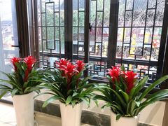 -奇芳阁·百年清真南京菜(夫子庙店)