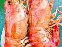 -品鲜村农家菜·阳澄湖大闸蟹(总店)