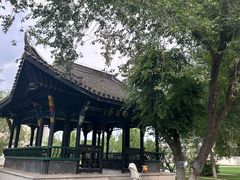 -东北农业大学