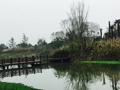 -桤木河湿地公园