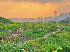 -西南政法大学(渝北校区)