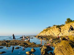 -养马岛旅游度假区