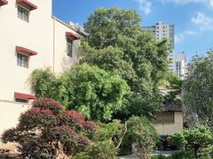 -大可堂普洱茶馆(襄阳南路馆)